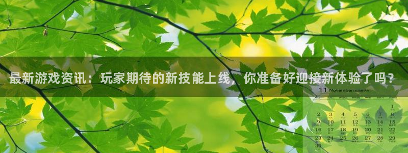 天美娱乐平台官方网站：最新游戏资讯：玩家期待的新技能上线，你