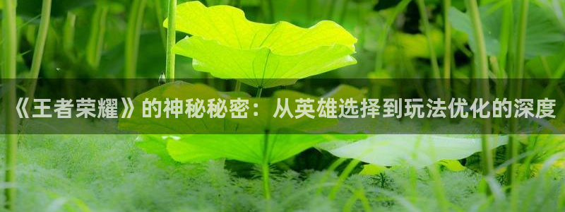 天美娱乐直属：《王者荣耀》的神秘秘密：从英雄选择到玩法优化的