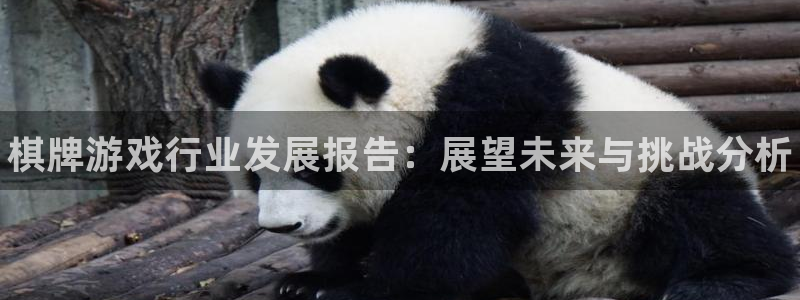 天美娱乐注册测速：棋牌游戏行业发展报告：展望未来与挑战分析