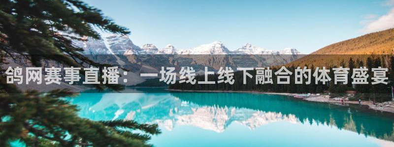 五星体育电视台：鸽网赛事直播：一场线上线下融合的体育盛宴