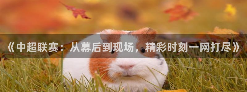庄夏妍 五星体育：《中超联赛：从幕后到现场，精彩时刻一网打尽》