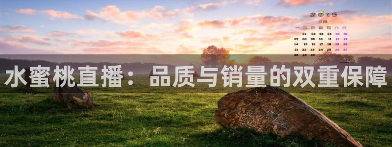 上海五星体育电视频道直播：水蜜桃直播：品质与销量的双重保障
