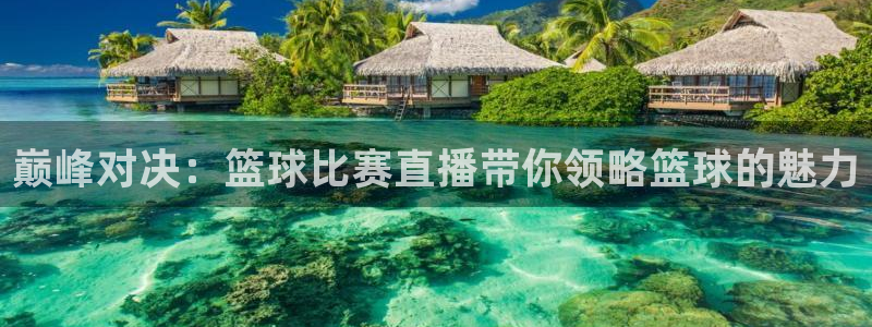 五星体育免费直播在线观看：巅峰对决：篮球比赛直播带你领略篮球的魅力