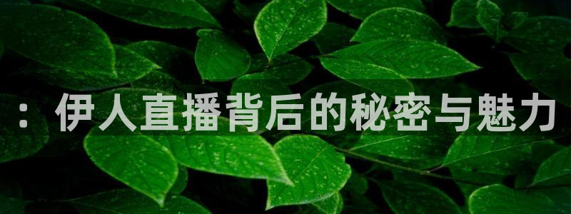 五星体育线上直播：：伊人直播背后的秘密与魅力