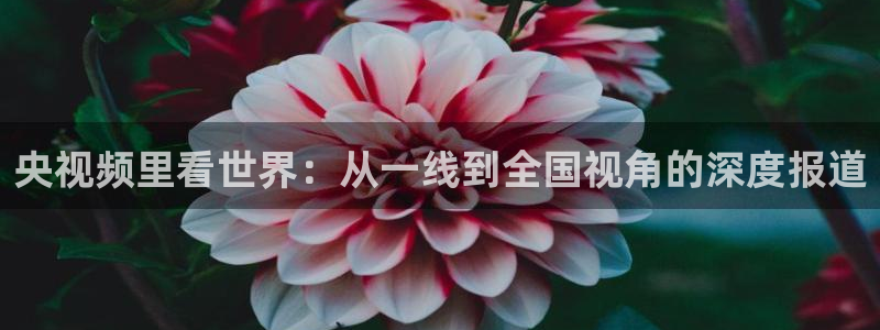 五星体育在线直播观看正在直播：央视频里看世界：从一线到全国视角的深度报道