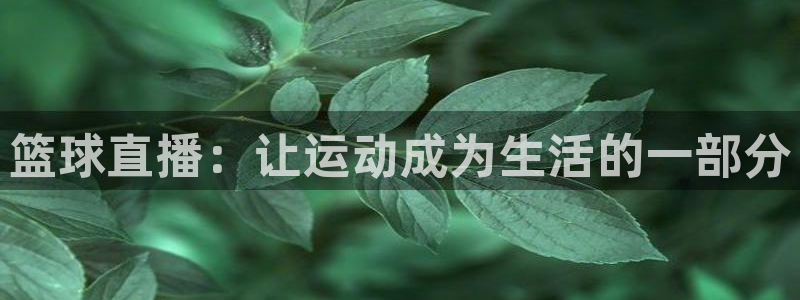 五星体育频道在线直播观看回看：篮球直播：让运动成为生活的一部分